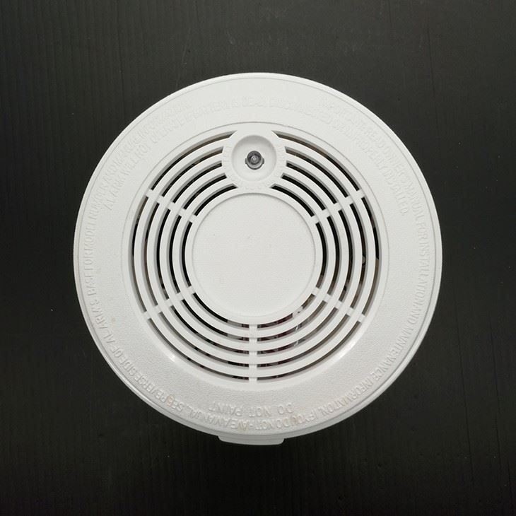 home-smoke-security-detector07265245806