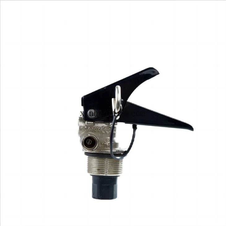 European Style Fire Extinguisher Valve